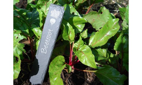 Vegetable Garden Slate Plant Markers
